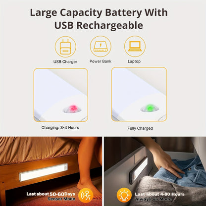 LED motion sensor light